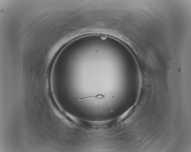 X0000070361511200606091018