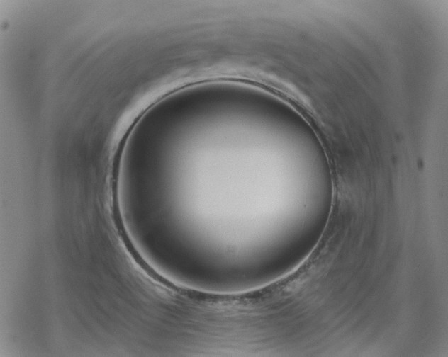 X0000070361512200606091018