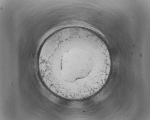 X0000070361514200606091018