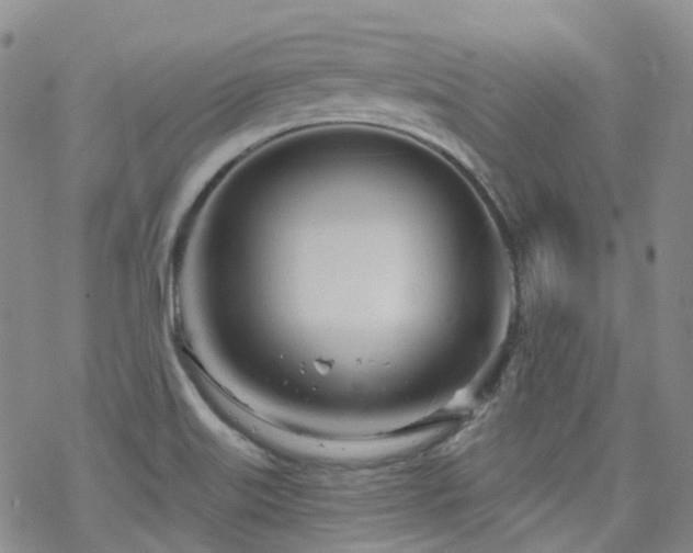 X0000070361515200606091018