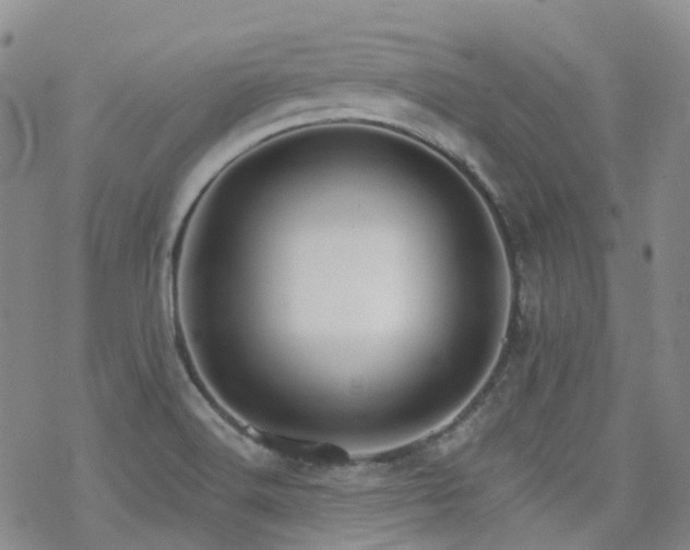 X0000070361516200606091018