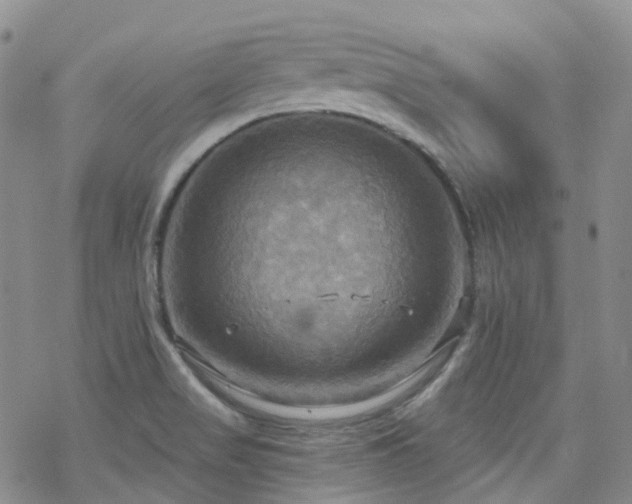 X0000070361517200606091018