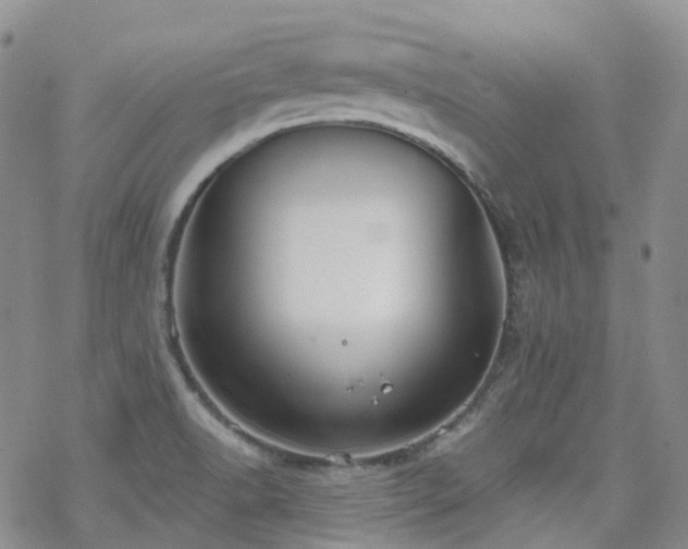 X0000070361518200606091019