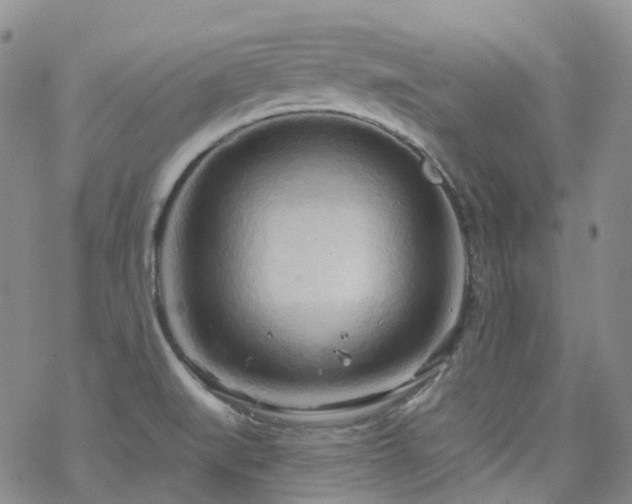 X0000070361519200606091019