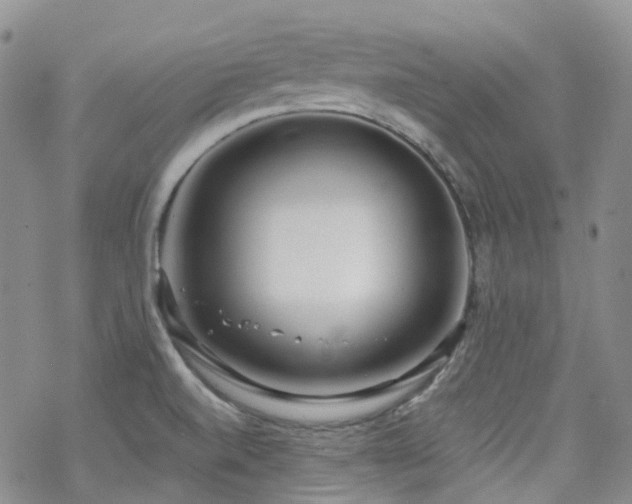 X0000070361520200606091019