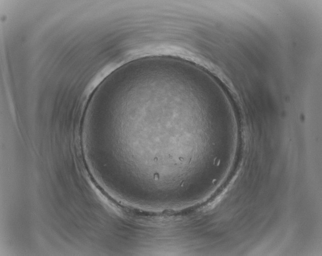 X0000070361521200606091019