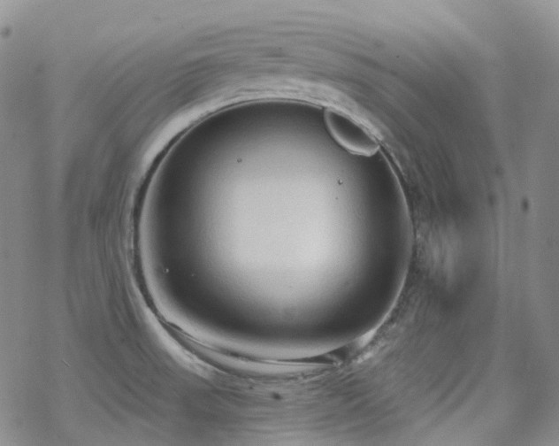 X0000070361523200606091019