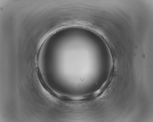 X0000070361524200606091019