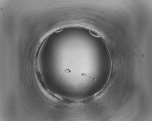 X0000070361526200606091019