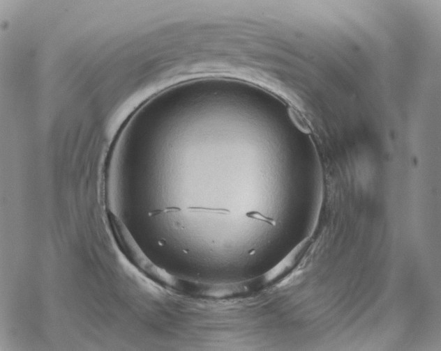 X0000070361527200606091019