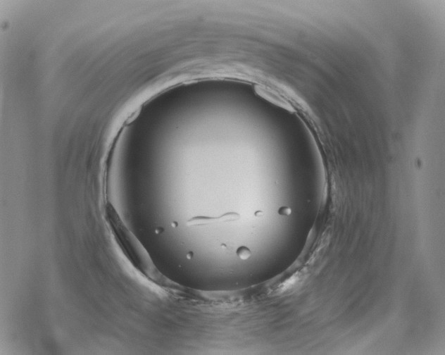 X0000070361528200606091019