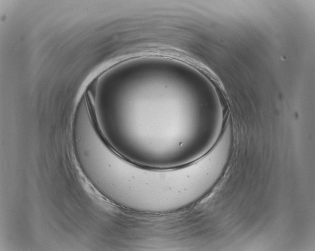 X0000070361530200606091019