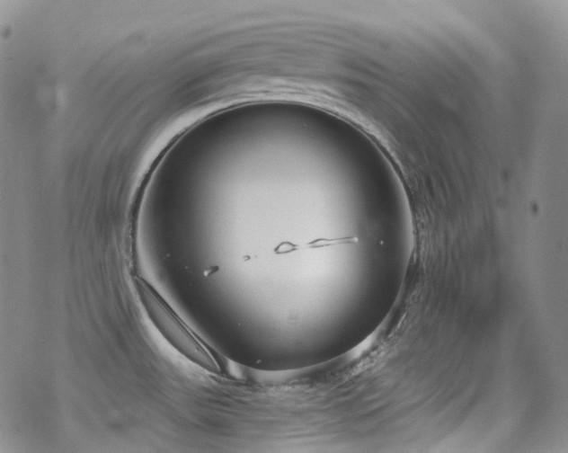 X0000070361531200606091019