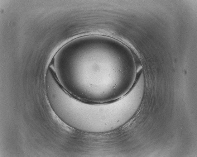 X0000070361532200606091019