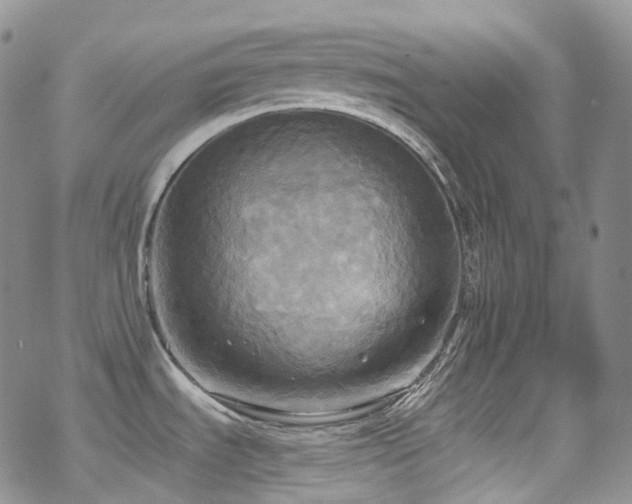 X0000070361535200606091019