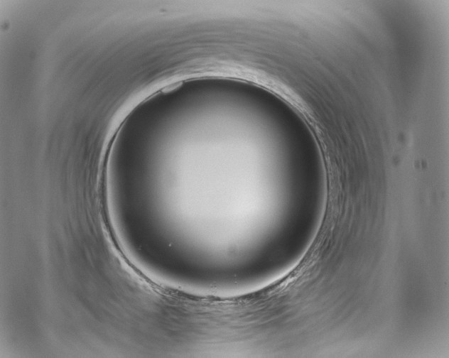 X0000070361536200606091019