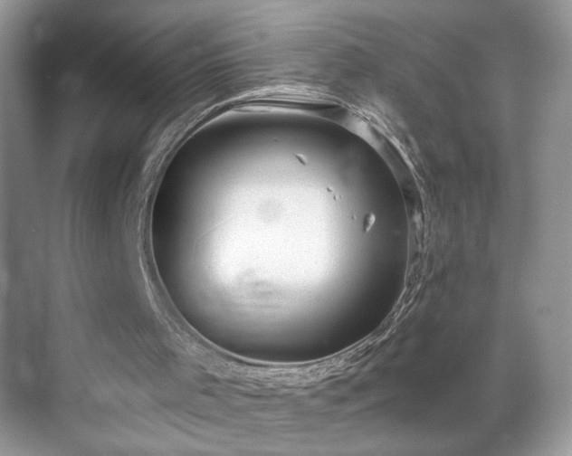 X0000070360001200606121221