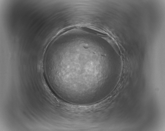 X0000070360002200606121221