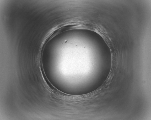 X0000070360003200606121221