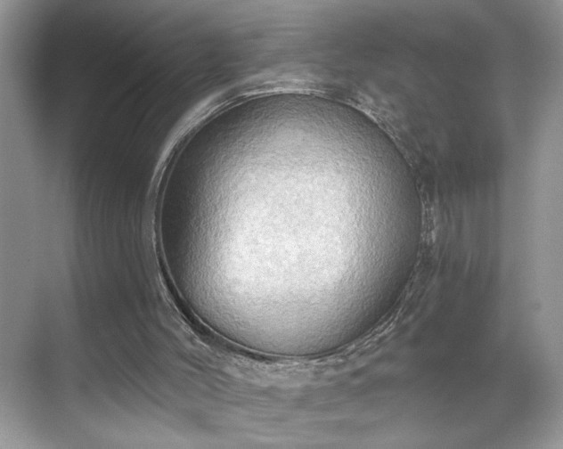 X0000070360004200606121221