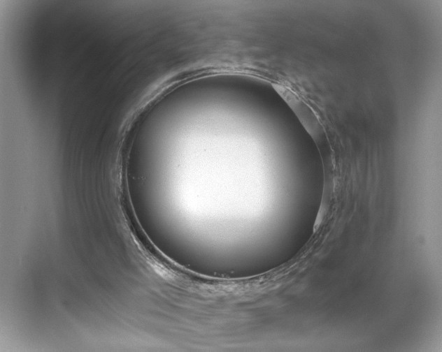 X0000070360005200606121221