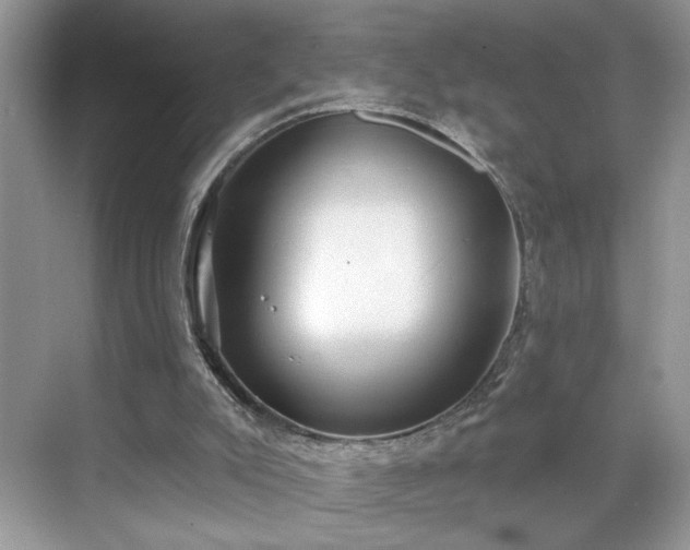 X0000070360007200606121221