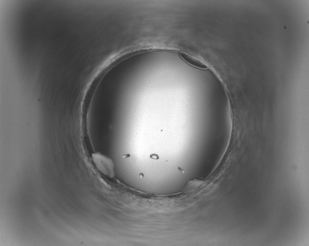 X0000070360008200606121221