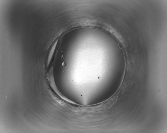 X0000070360009200606121221