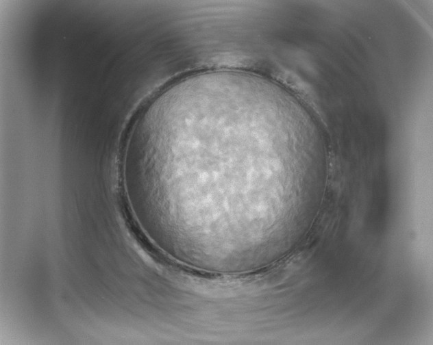 X0000070360012200606121221