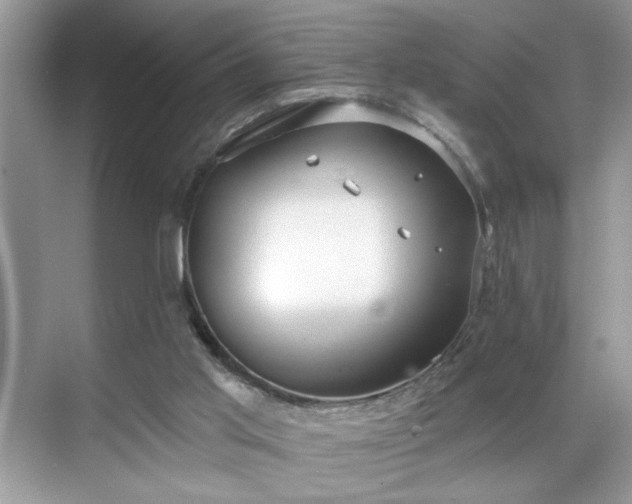 X0000070360013200606121221