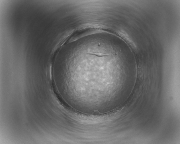 X0000070360014200606121221