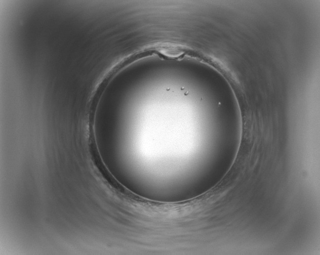 X0000070360015200606121221