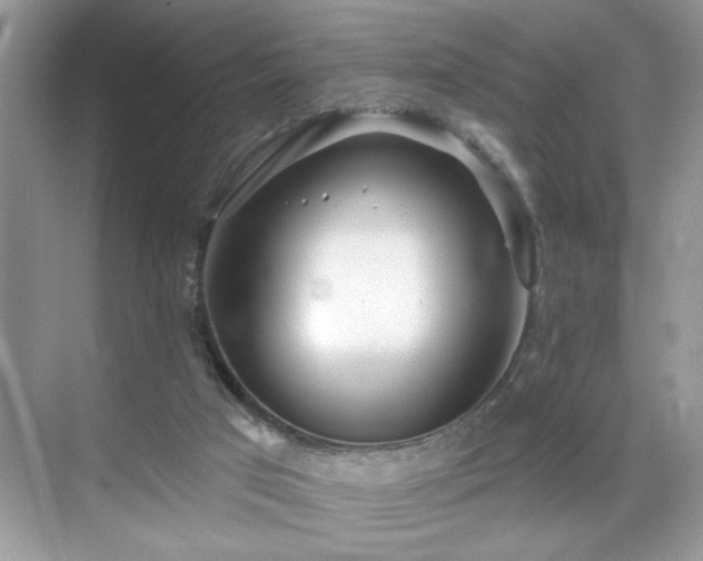 X0000070360017200606121221