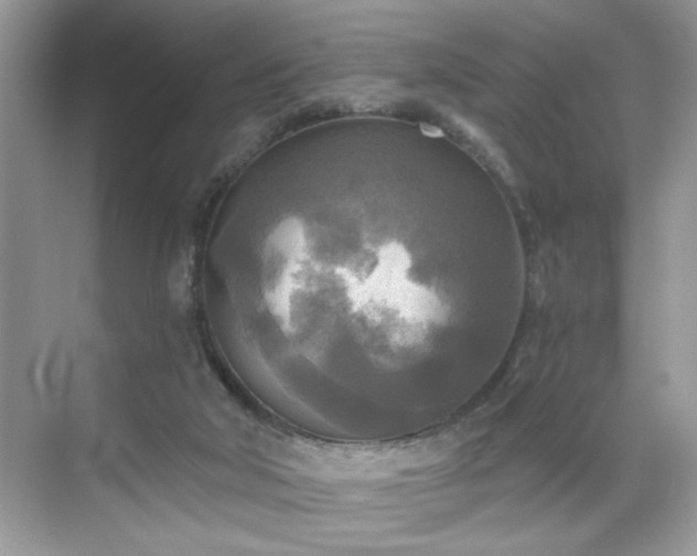 X0000070360018200606121221