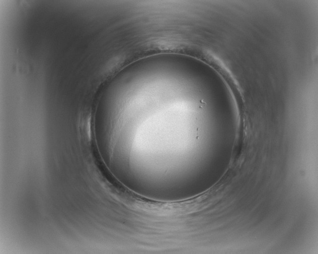 X0000070360019200606121221