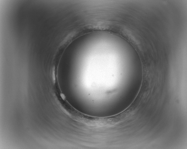 X0000070360020200606121221