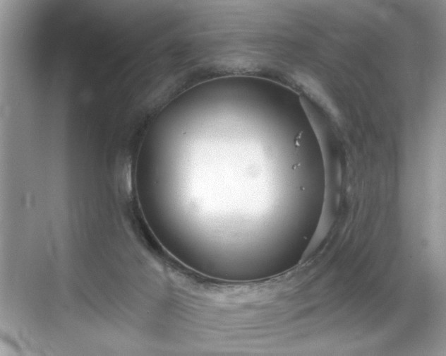 X0000070360021200606121221