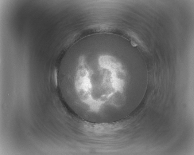 X0000070360022200606121221