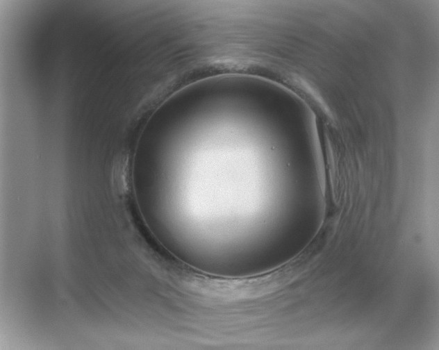 X0000070360023200606121221