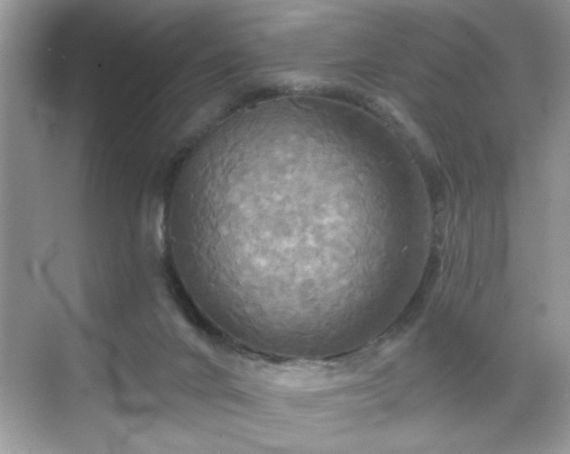 X0000070360024200606121221