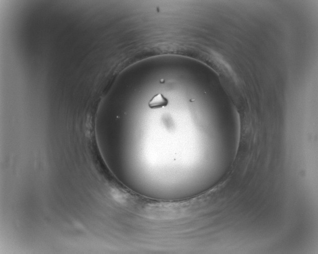 X0000070360025200606121221