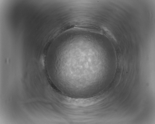 X0000070360026200606121221