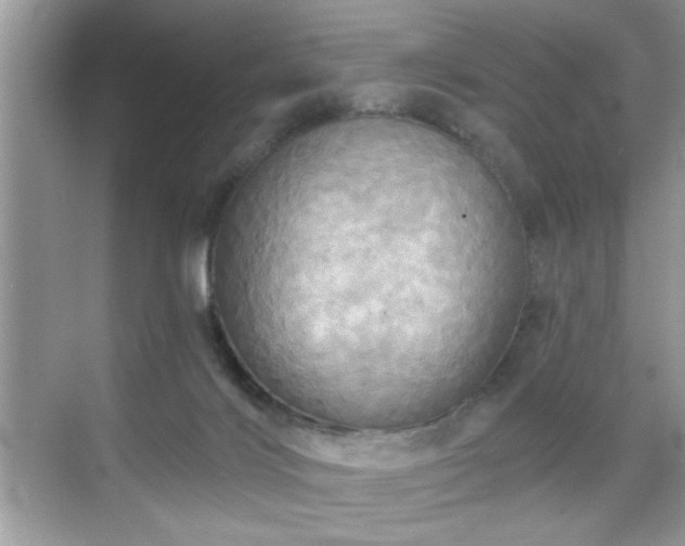 X0000070360028200606121221