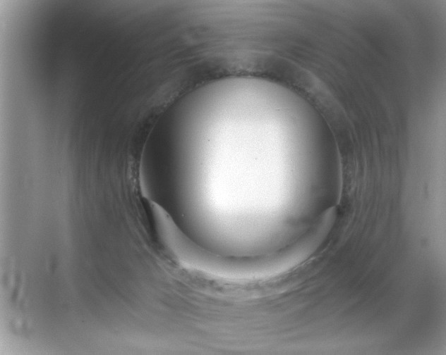 X0000070360029200606121221