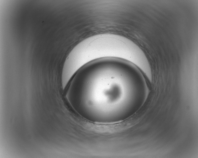 X0000070360030200606121221