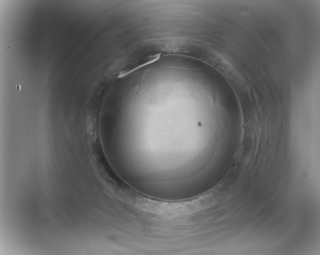 X0000070360031200606121221