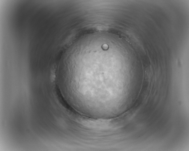 X0000070360032200606121221