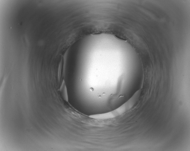 X0000070360033200606121221