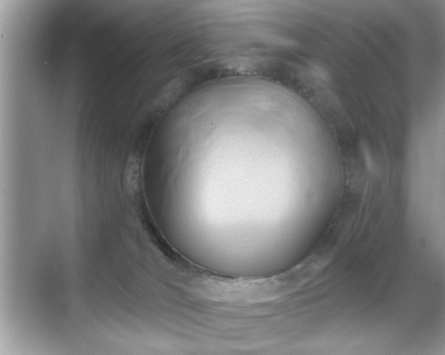 X0000070360036200606121221