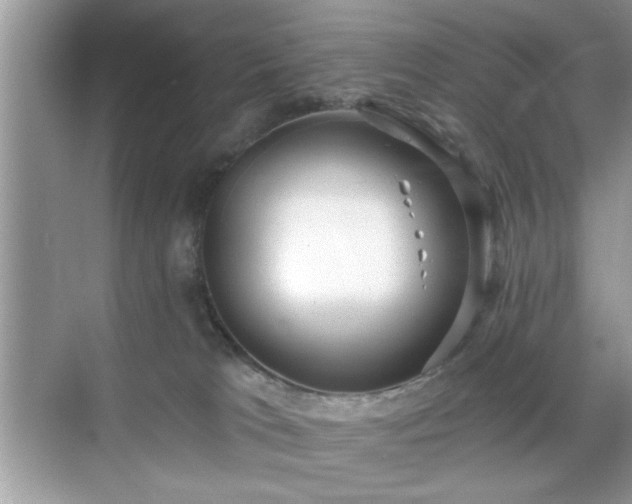 X0000070360037200606121221